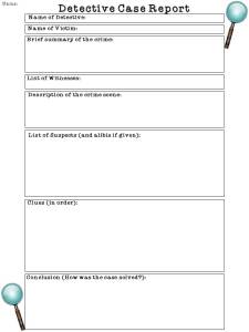 detective case report
